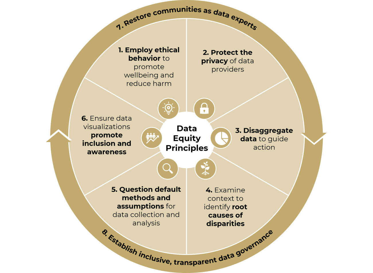 Circular graphic showing eight data equity principles